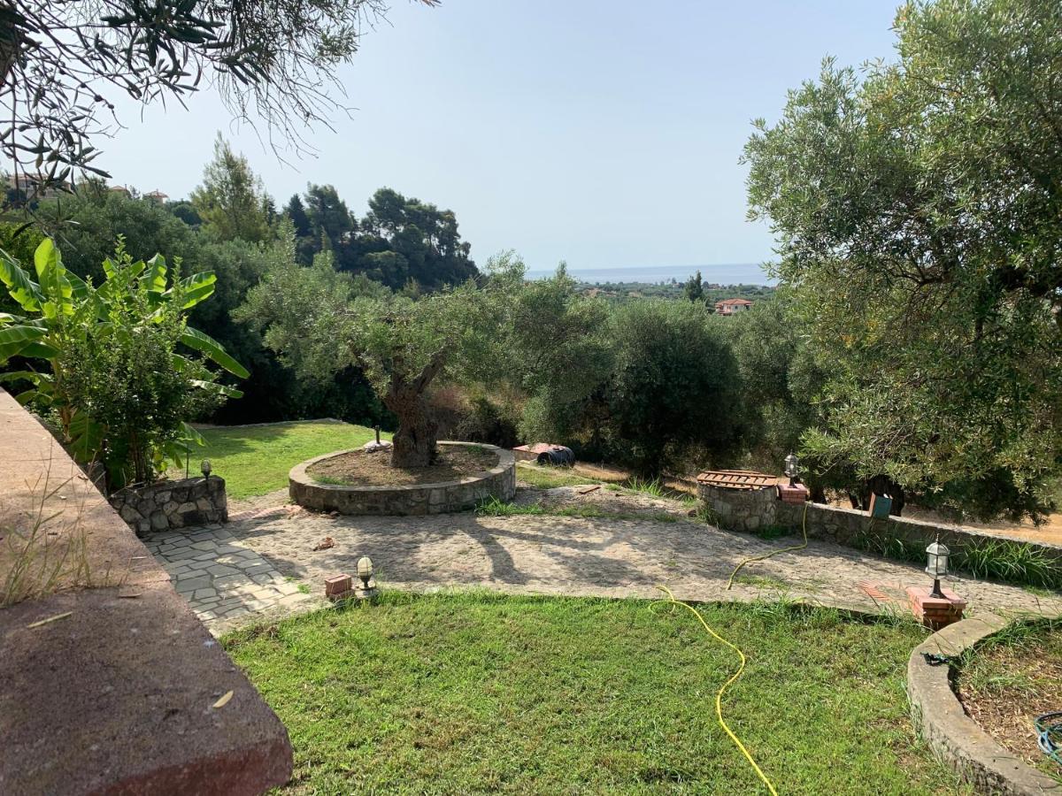 Olive Stone Villa Nea Skioni Exterior photo